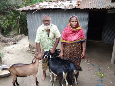 দশের যাকাতের টাকায় শাহানারার ছাগল পালন 