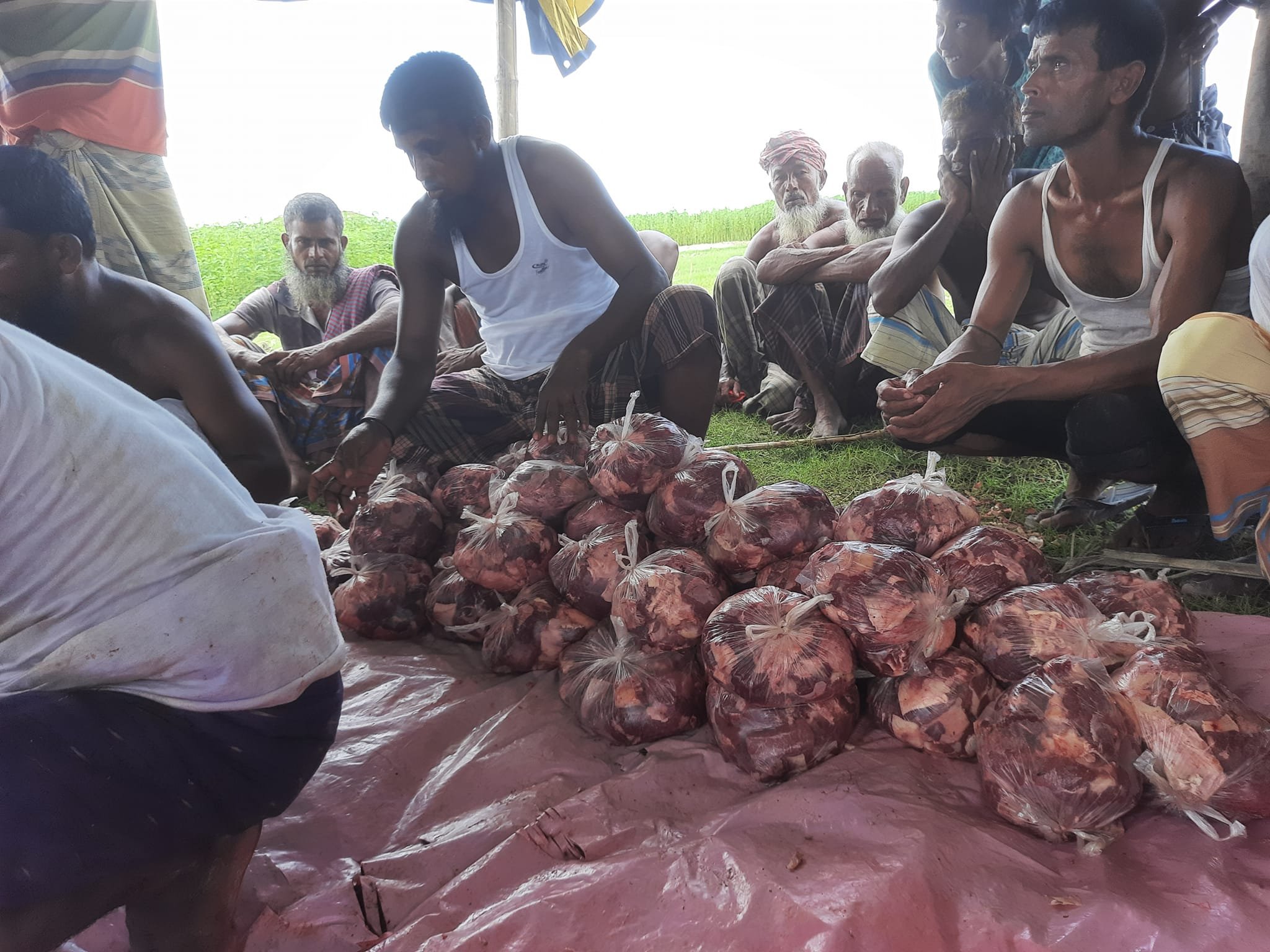 বিতরণের জন্য জবাইকৃত গরু ভাগ করা